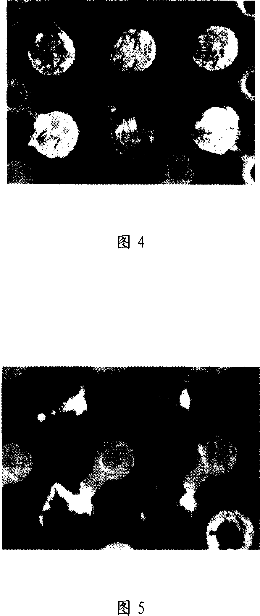 Method for discriminating welding disc and black disc failure state