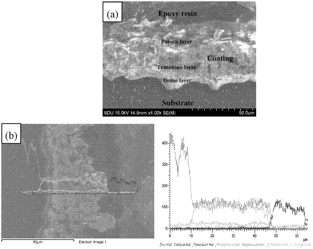 Preparation method of biological ceramic coating rich in calcium and phosphate phases on surface of magnesium alloy