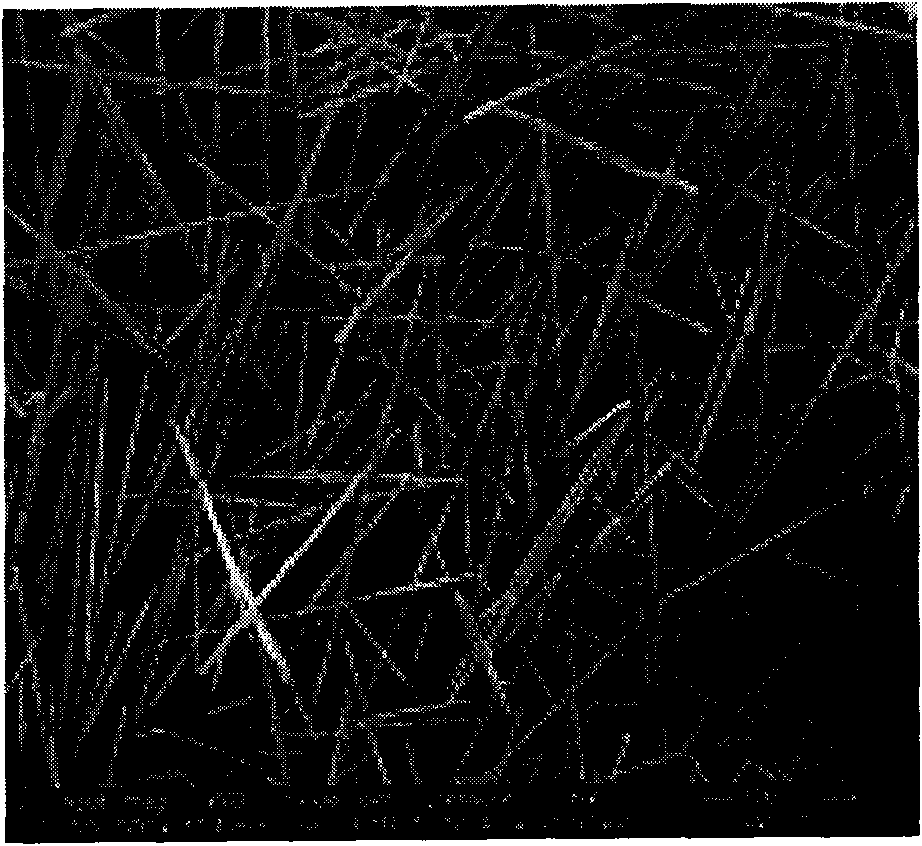 CaSO* crystal whisker with desulfurized gypsum as raw material and preparing method