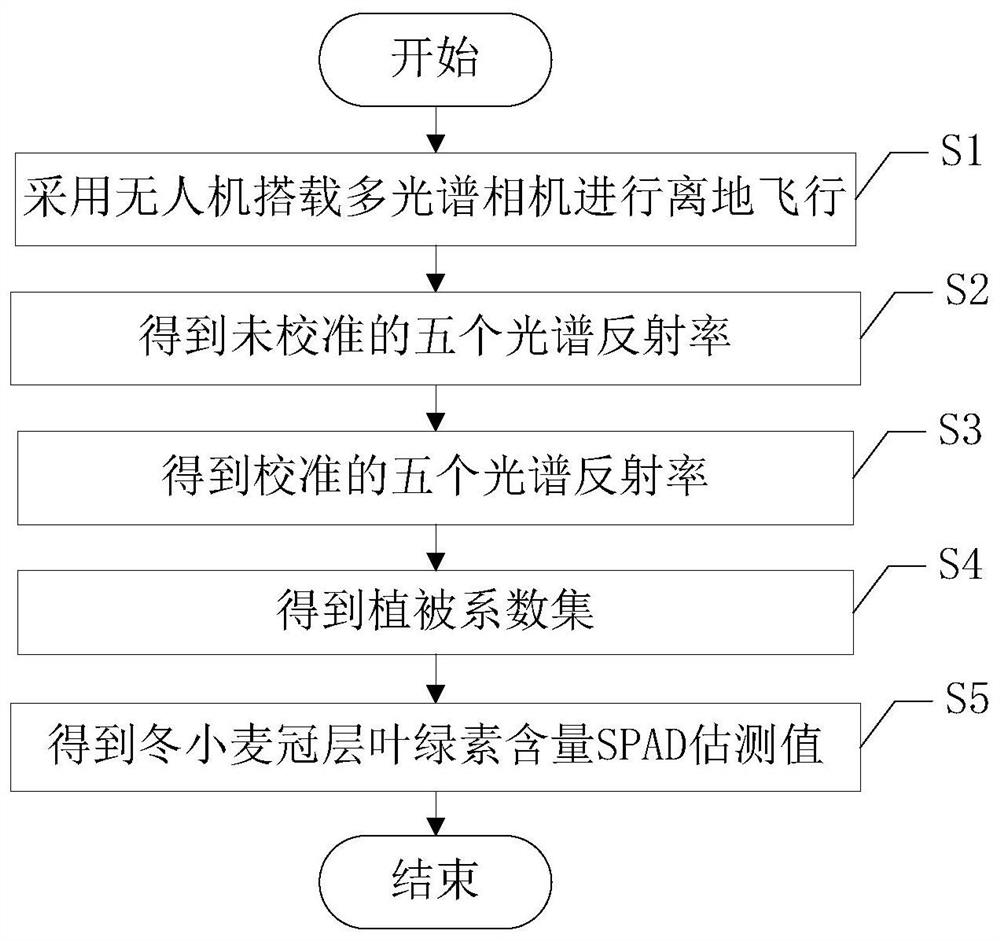 A system and method for estimating winter wheat canopy chlorophyll