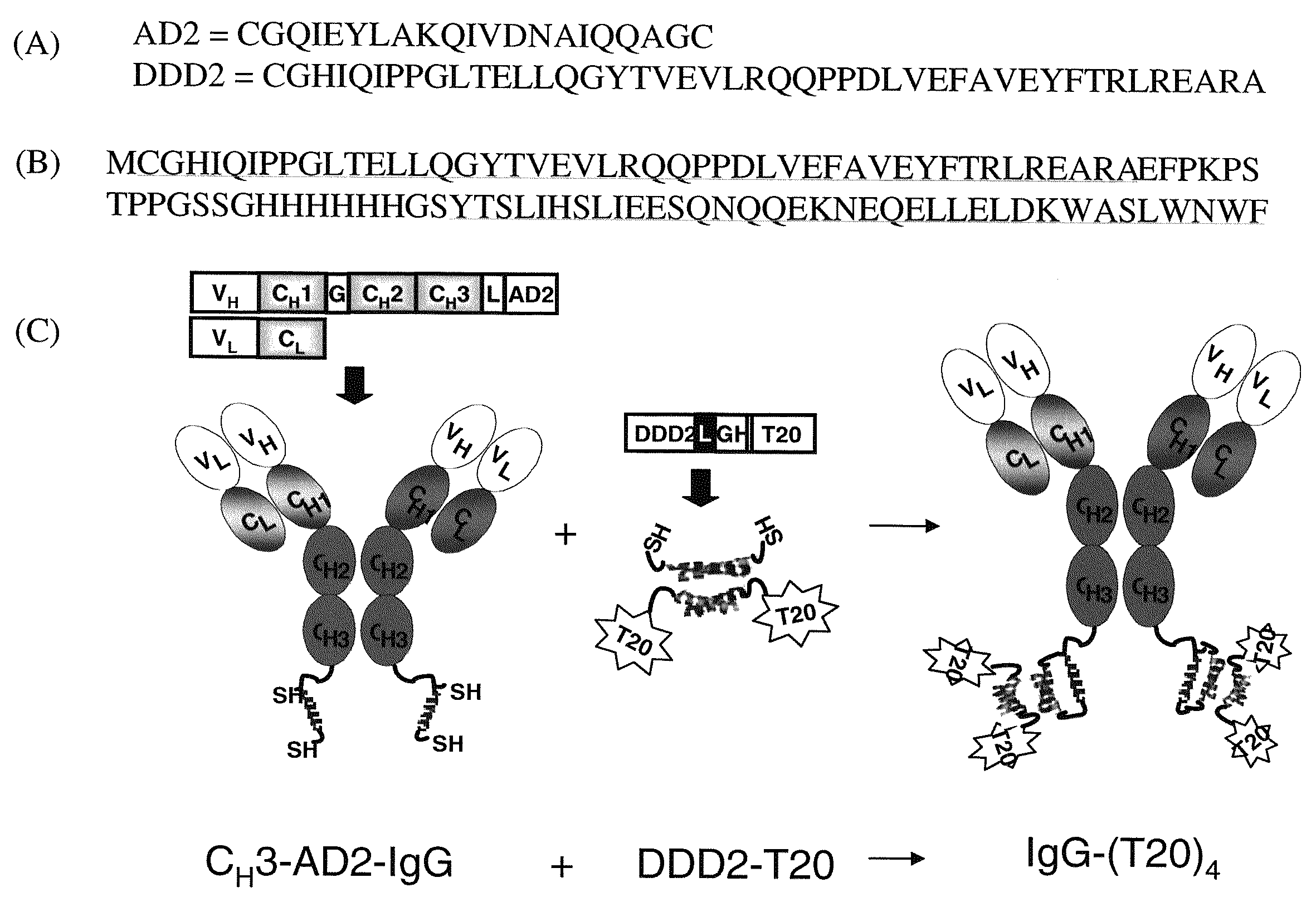 Dock-and-Lock (DNL) Constructs for Human Immunodeficiency Virus (HIV) Therapy