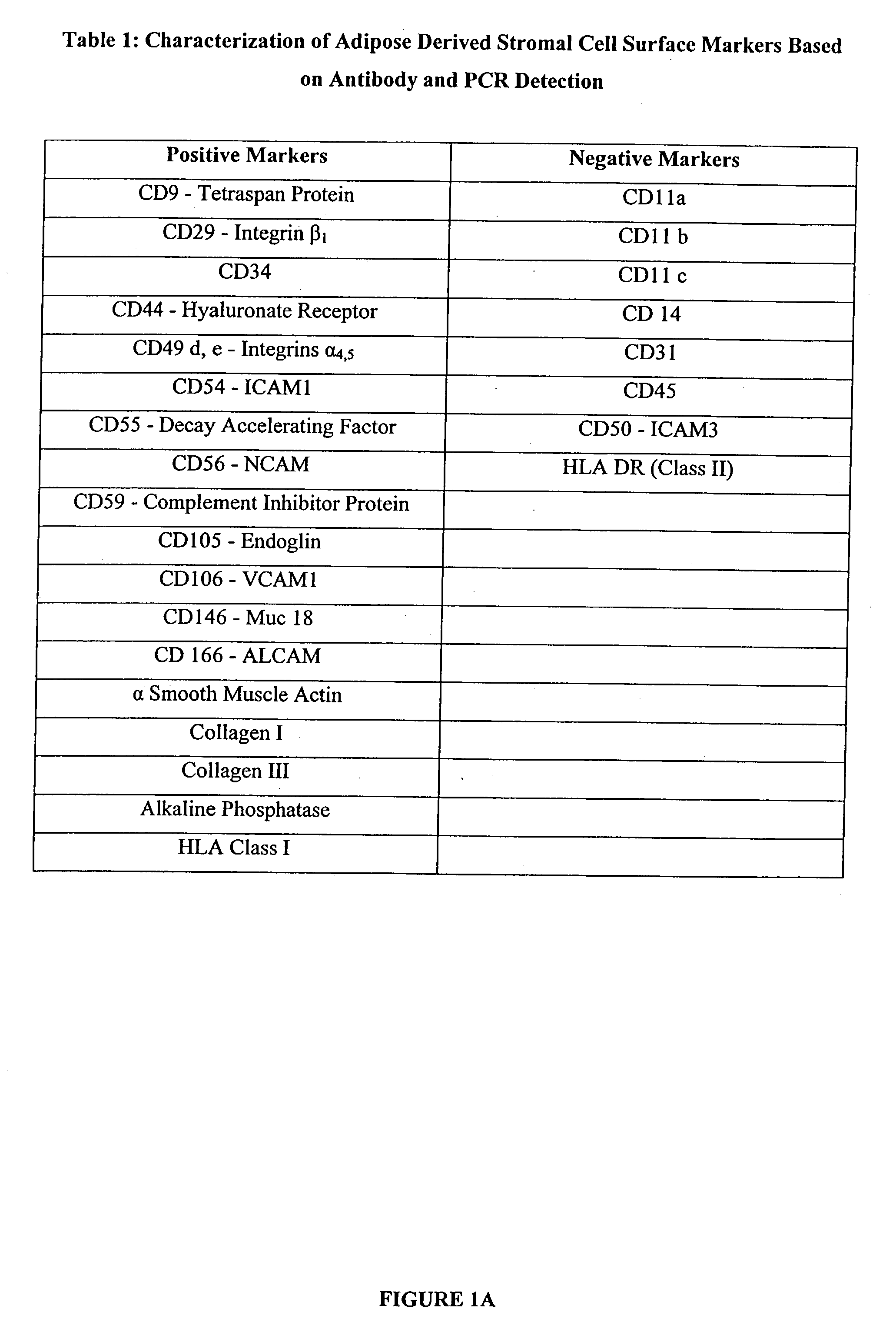 Multiple mesodermal lineage differentiation potentials for adipose tissue-derived stromal cells and uses thereof