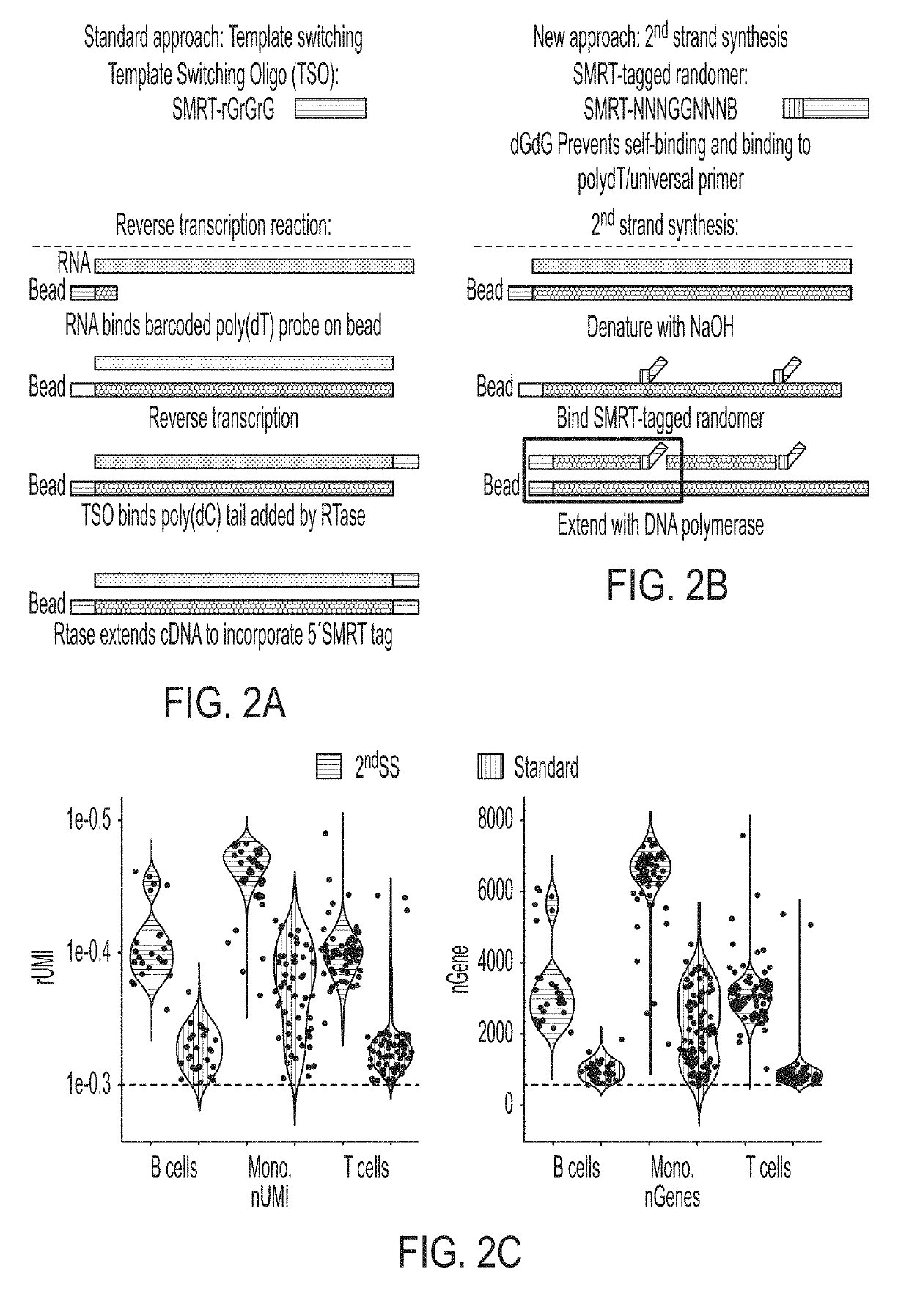 Single cell analyses