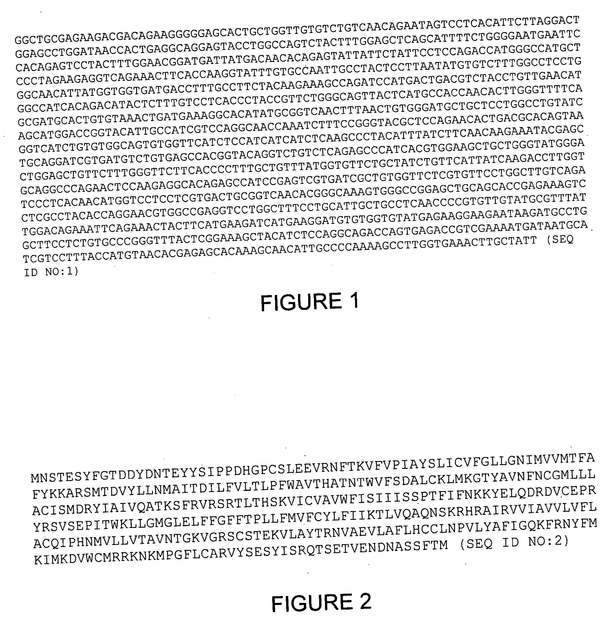 CCR6 chemokine receptor disruptions, compositions and methods relating thereto