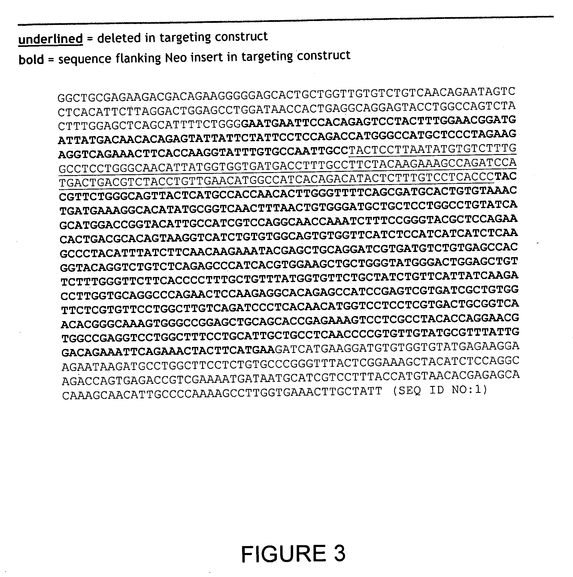 CCR6 chemokine receptor disruptions, compositions and methods relating thereto