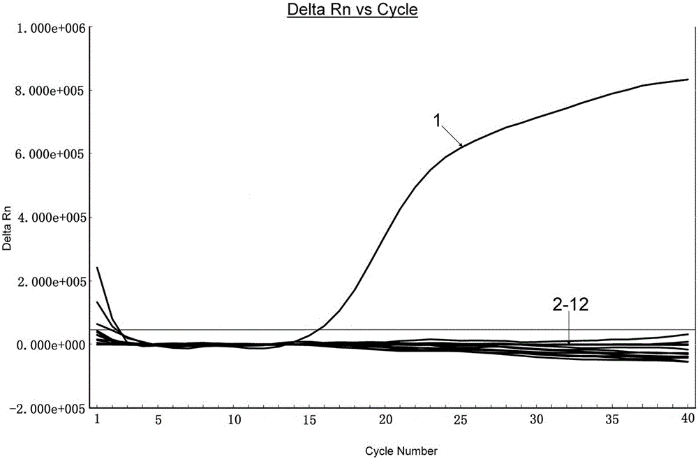 Specific primers and probe by fluorogenic quantitative PCR (Polymerase Chain Reaction) for detecting sheep-derived ingredients in meat products and kit thereof