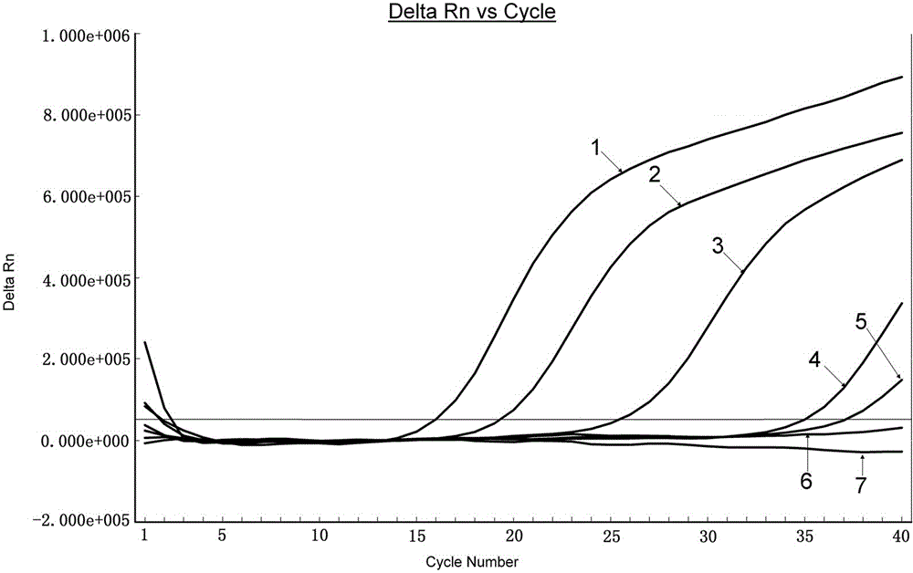 Specific primers and probe by fluorogenic quantitative PCR (Polymerase Chain Reaction) for detecting sheep-derived ingredients in meat products and kit thereof