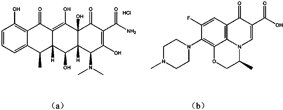 Magnetic molecularly-imprinted polymer for identifying and enriching varieties of trace antibiotics and preparation method and application thereof