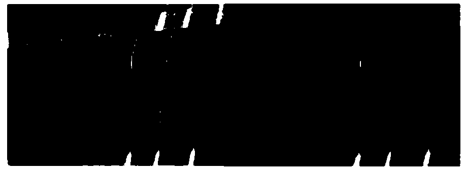 Dynamic measurement method of rail corrugation