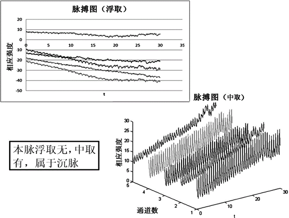 Traditional Chinese medicine diagnostic system