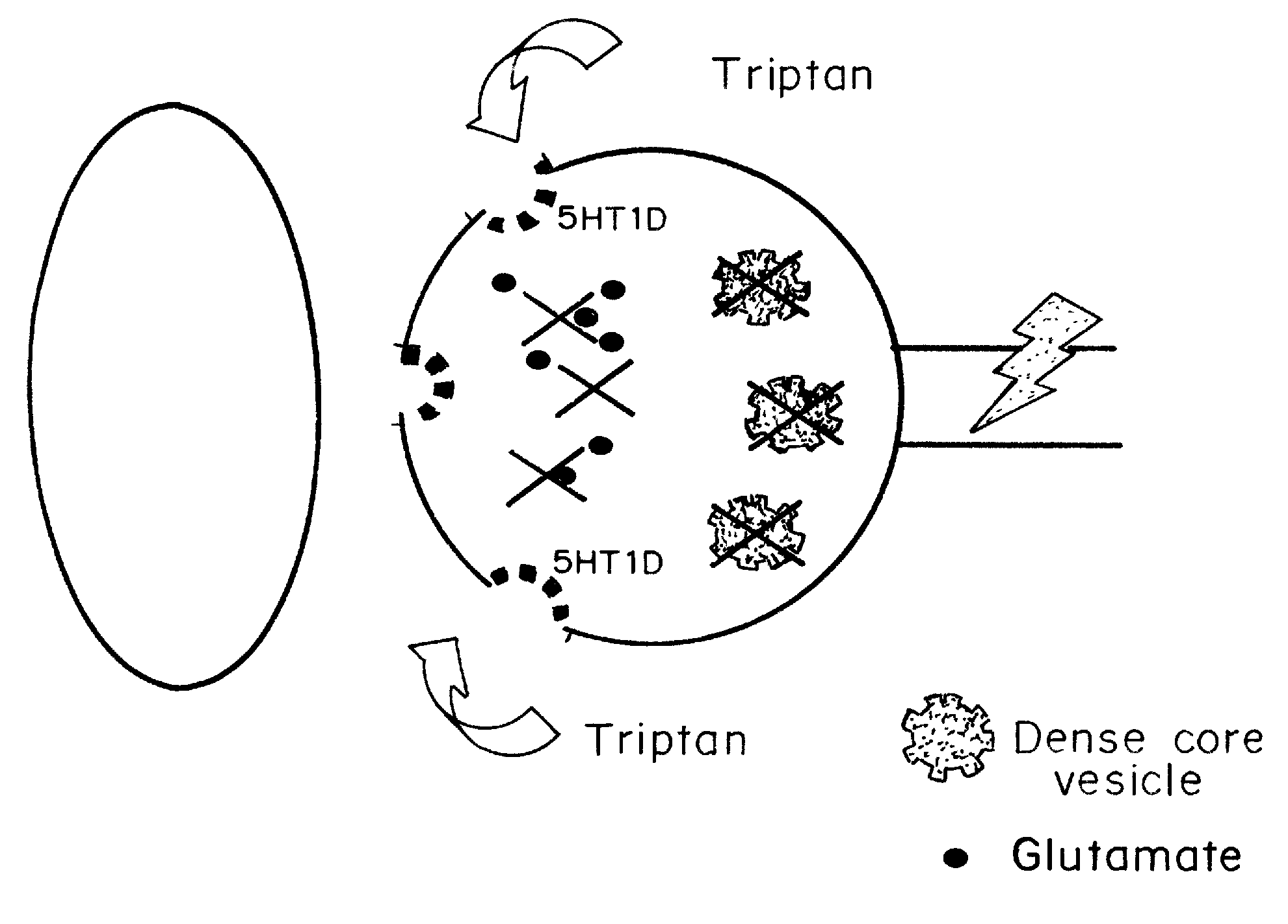 Intrathecal administration of triptan compositions to treat non-migraine pain