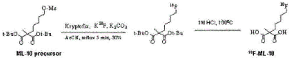 Precursors of novel PET (polyethylene terephthalate) precursor-fluoride standard ML-10 and preparation method thereof