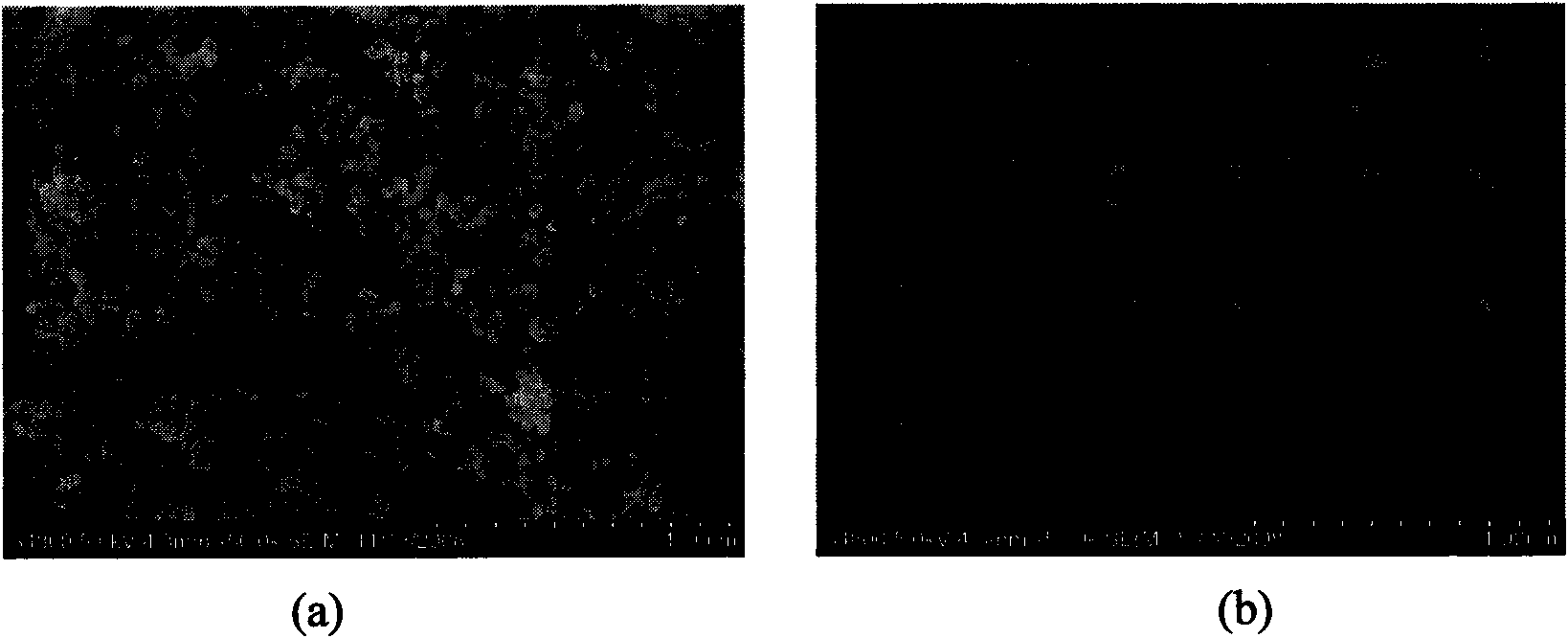 Method for producing rare earth ion doped yttrium aluminum garnet nano phosphor powder