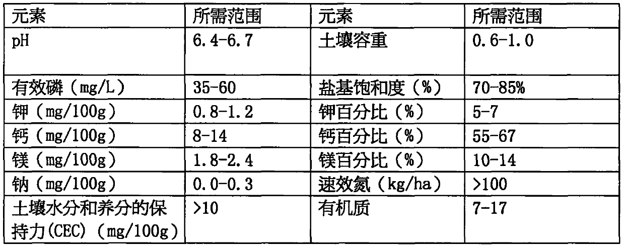 Garden planning and construction technology of actinidia arguta