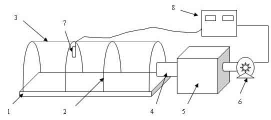 Full-exposure cuttage and propagation method of camellia reticulata