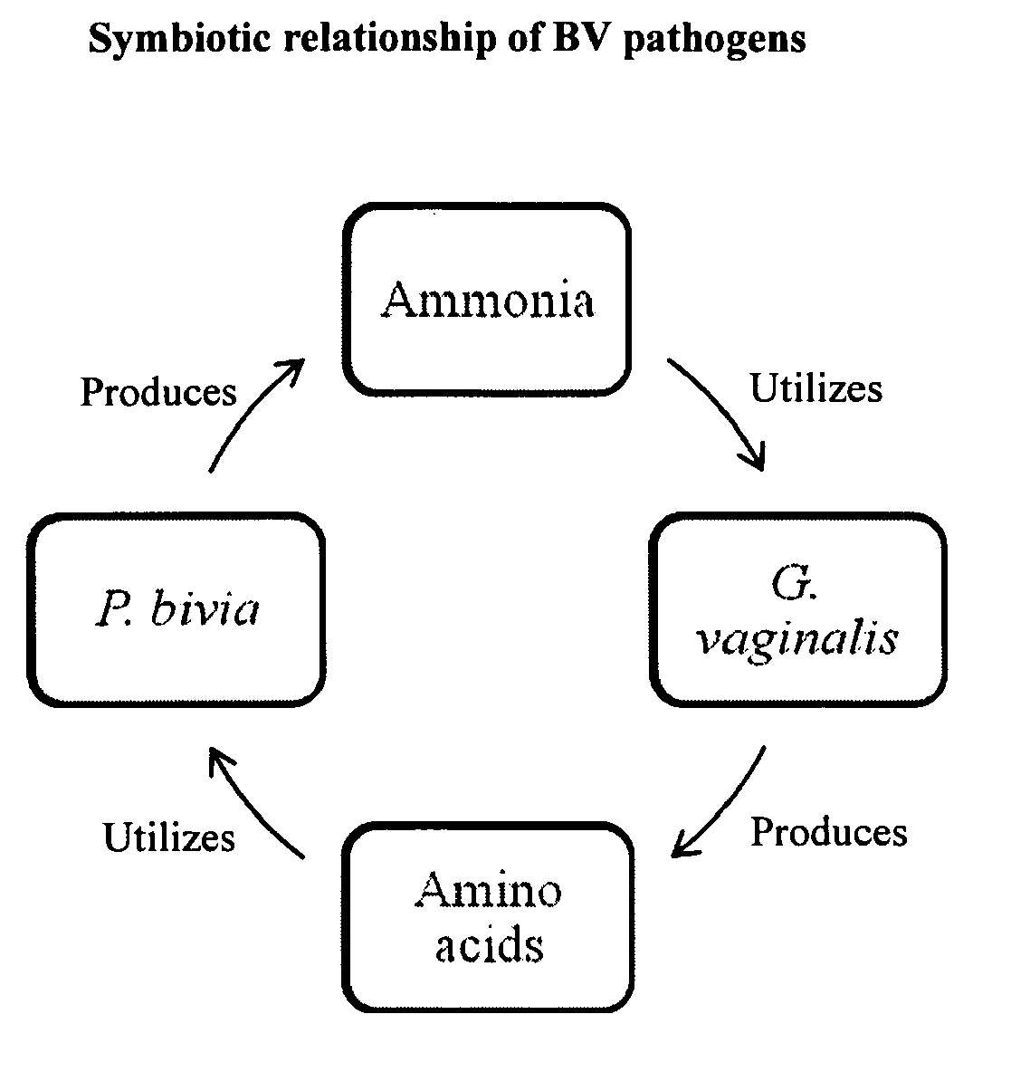 Compositions and methods for treating vaginal infections and pathogenic vaginal biofilms