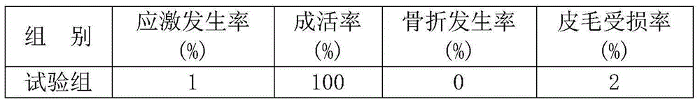 Chinese herbal medicine feed additive for improving stress resistance of adult ostriches and application thereof