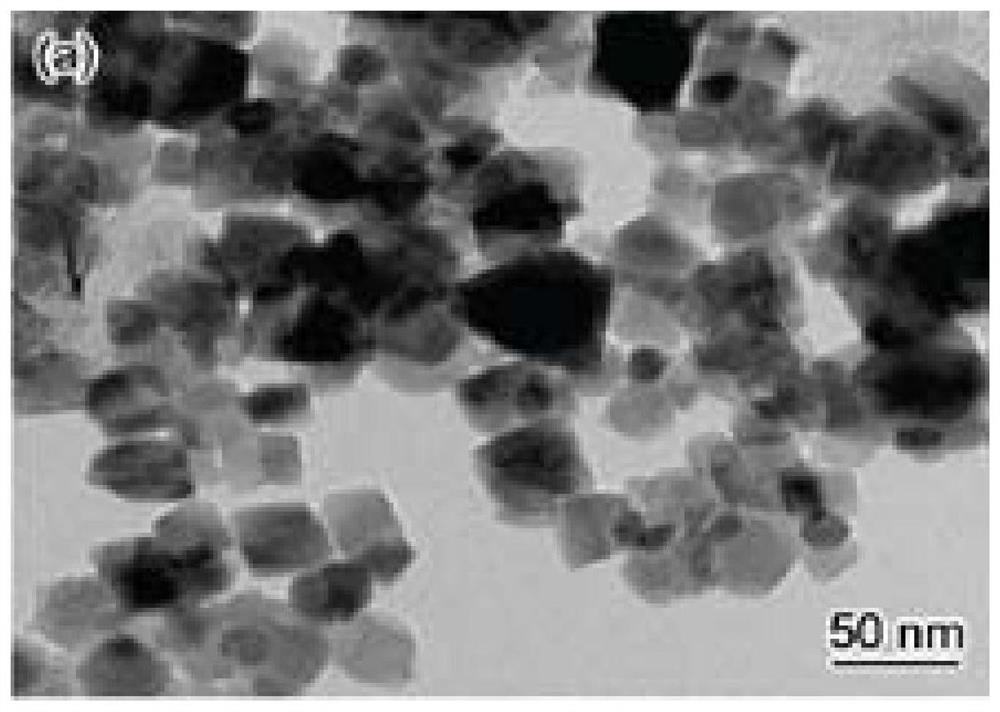 Elastic epoxy resin and application thereof