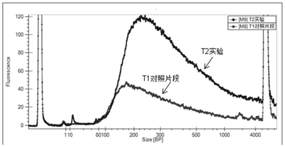 RNA library preparation method, sequencing method and kit