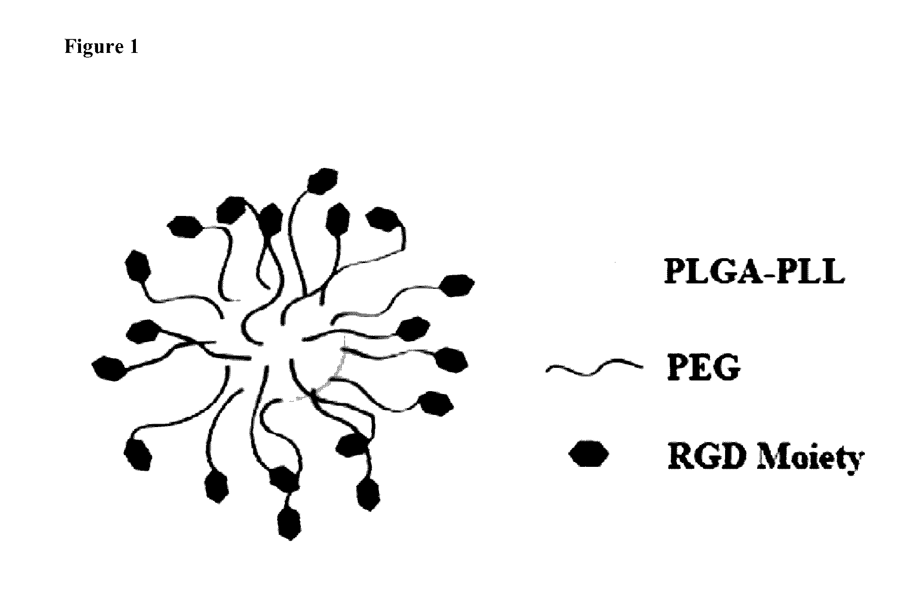 Dry Spray on Hemostatic System