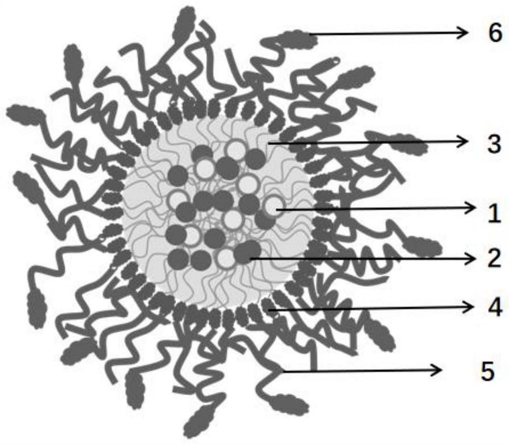 Antibacterial/healing-promoting double-drug delivery system, pharmaceutical composition as well as preparation method and application of antibacterial/healing-promoting double-drug delivery system