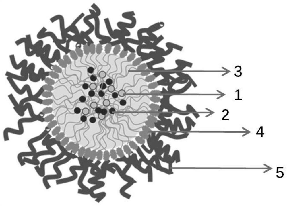 Antibacterial/healing-promoting double-drug delivery system, pharmaceutical composition as well as preparation method and application of antibacterial/healing-promoting double-drug delivery system