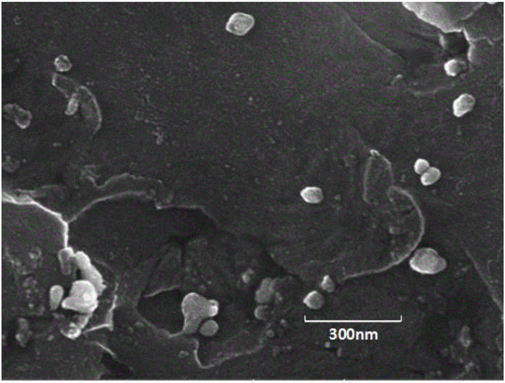 Nano zinc oxide modified epoxy resin composite material and preparation method thereof