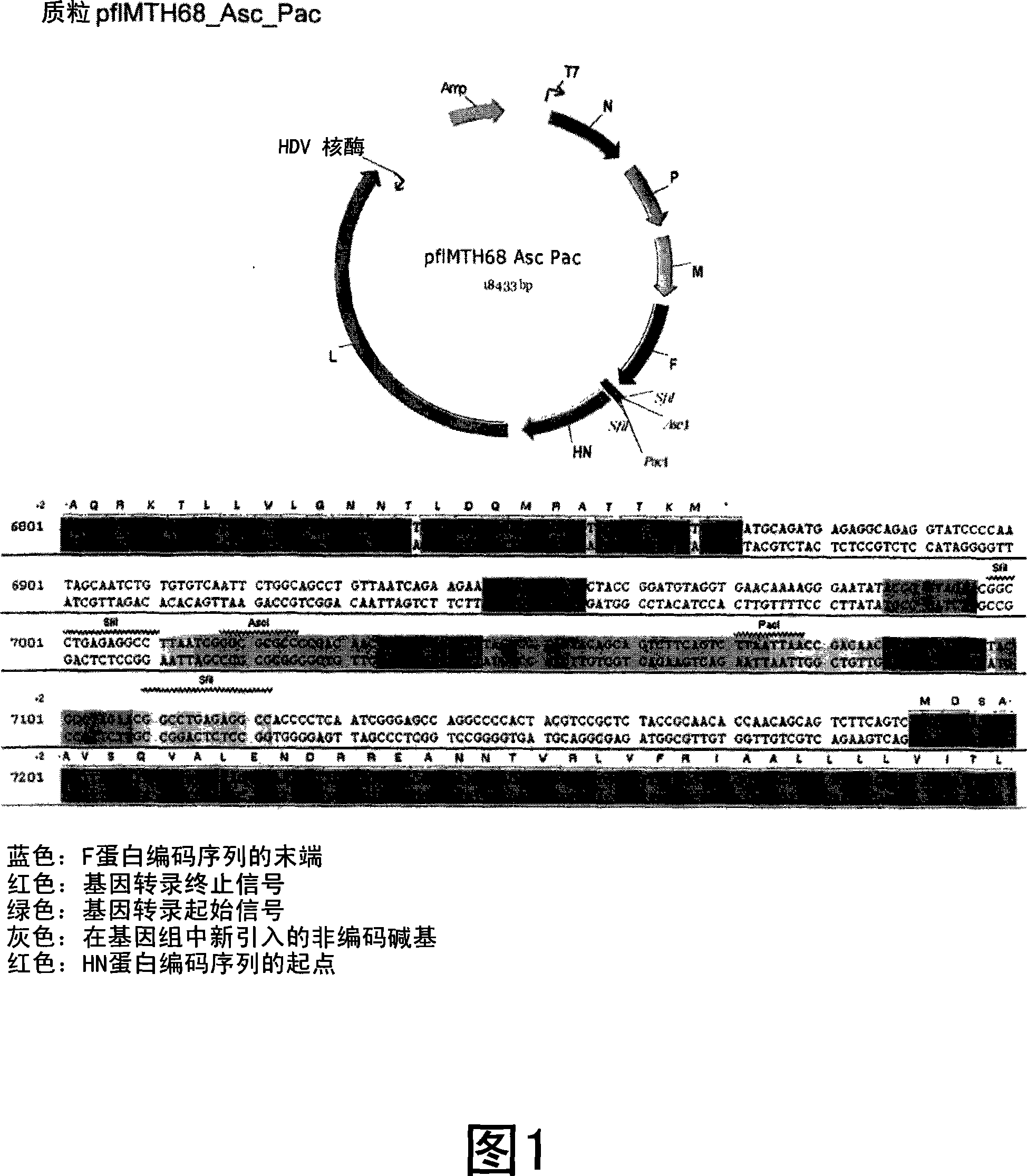 Recombinant newcastle disease virus