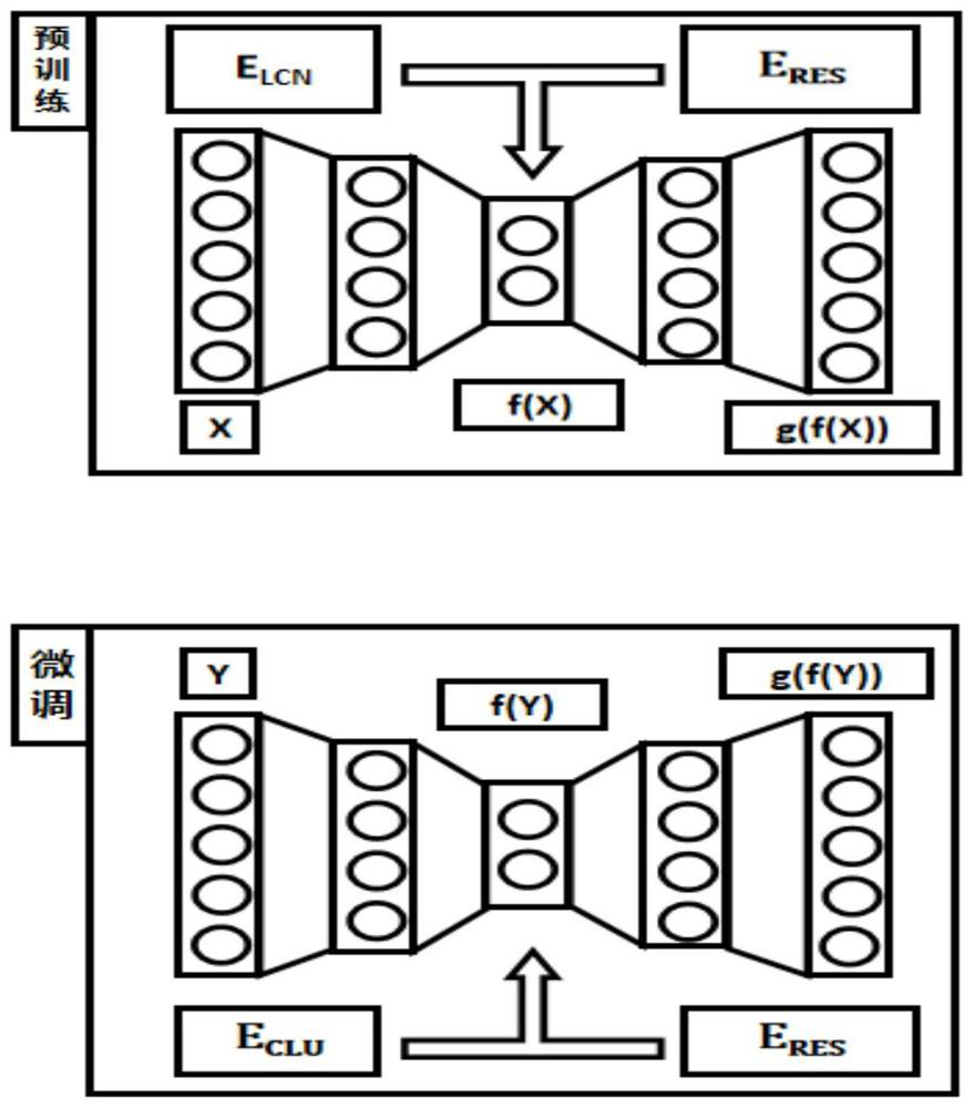 Metagenome sequence deep clustering method based on reference species tag constraint