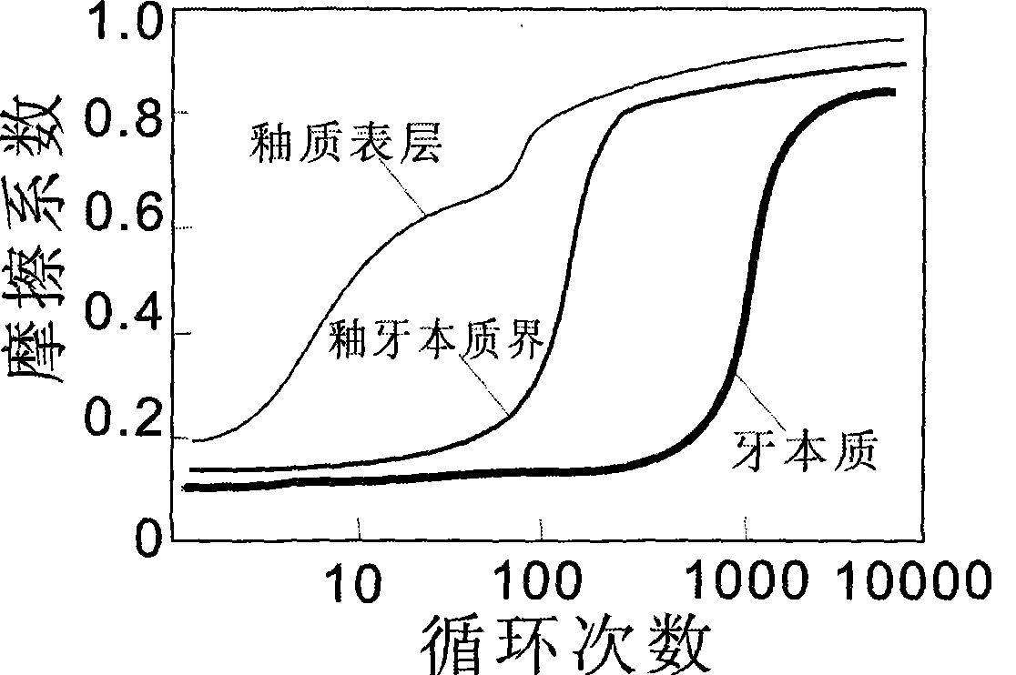 Wear-bionic nano-ceramic composite artificial tooth and method for preparing same