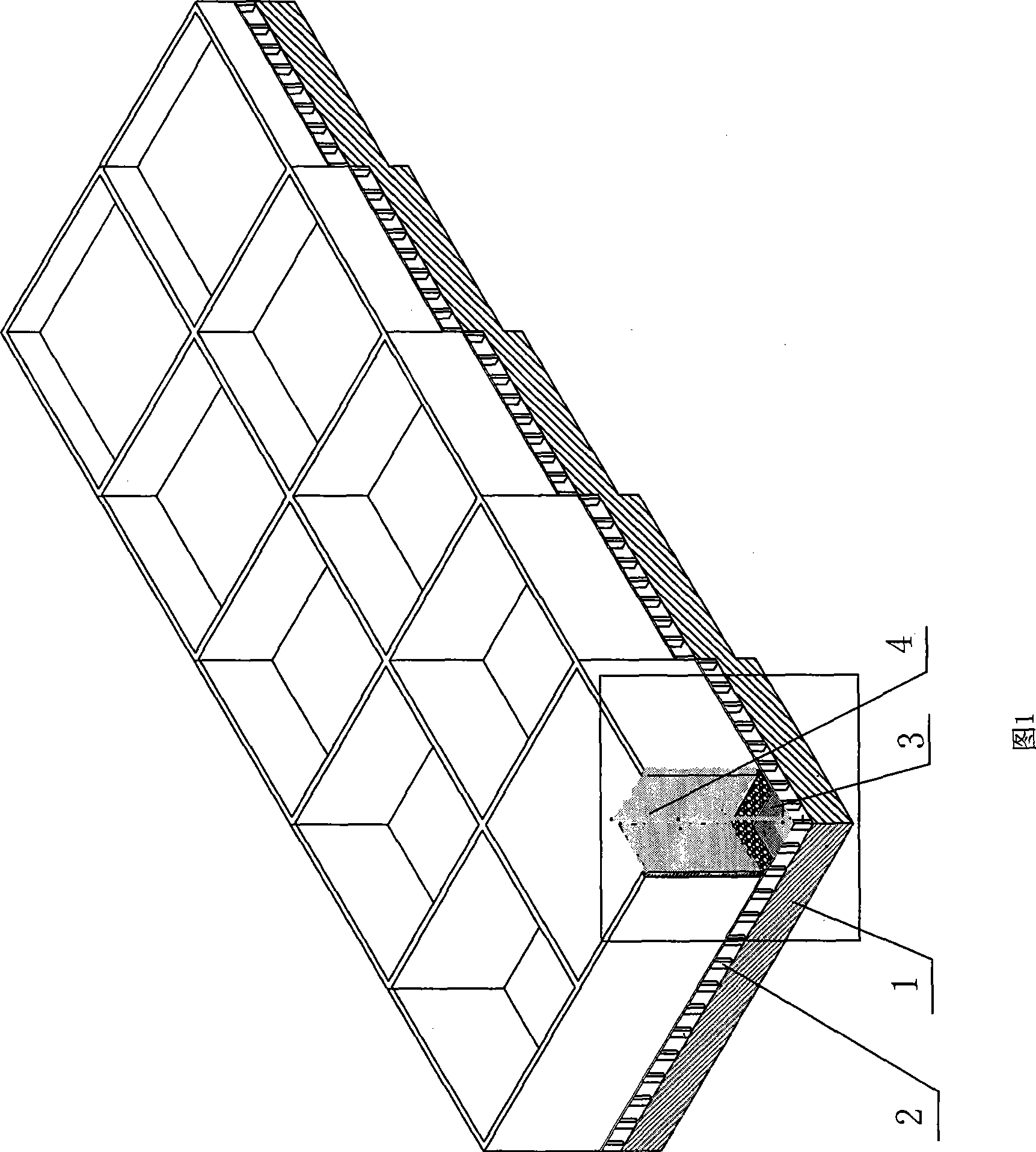 Groundwater buried depth abductive technique of desert plant seedling root system growth