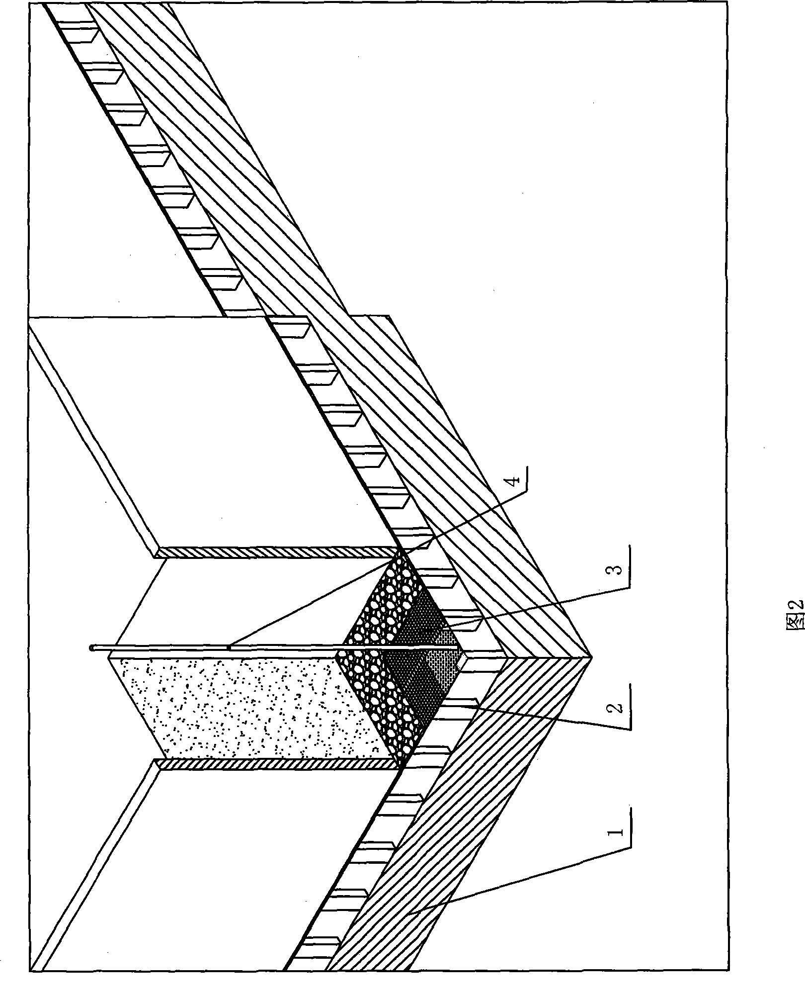 Groundwater buried depth abductive technique of desert plant seedling root system growth