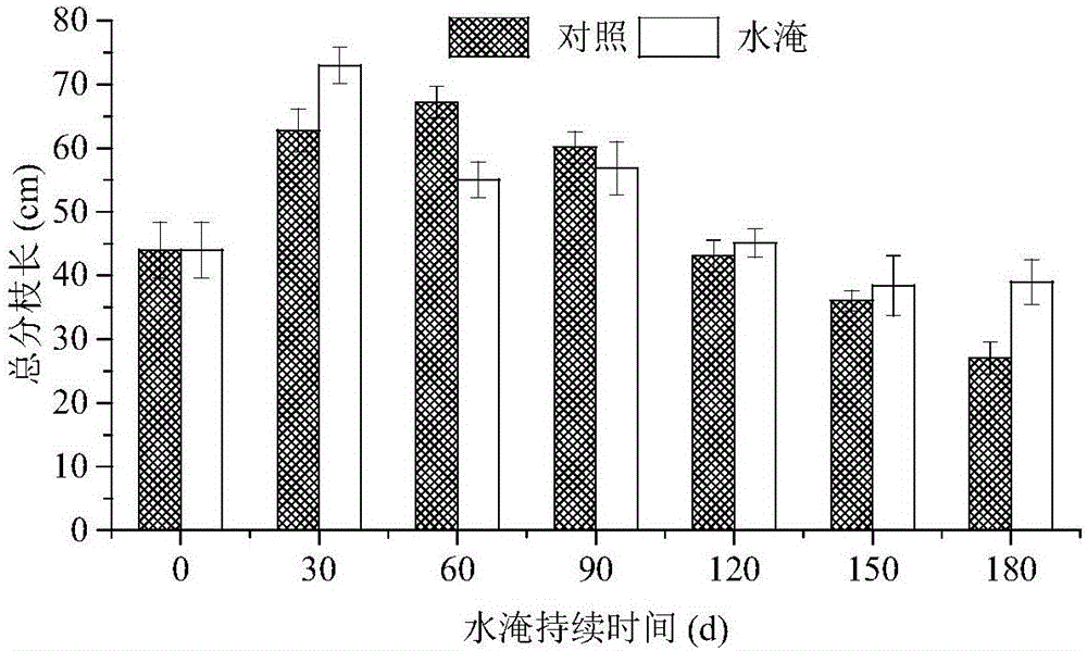 Restoring method for plateau reservoir hydro fluctuation belt through Knotgrass