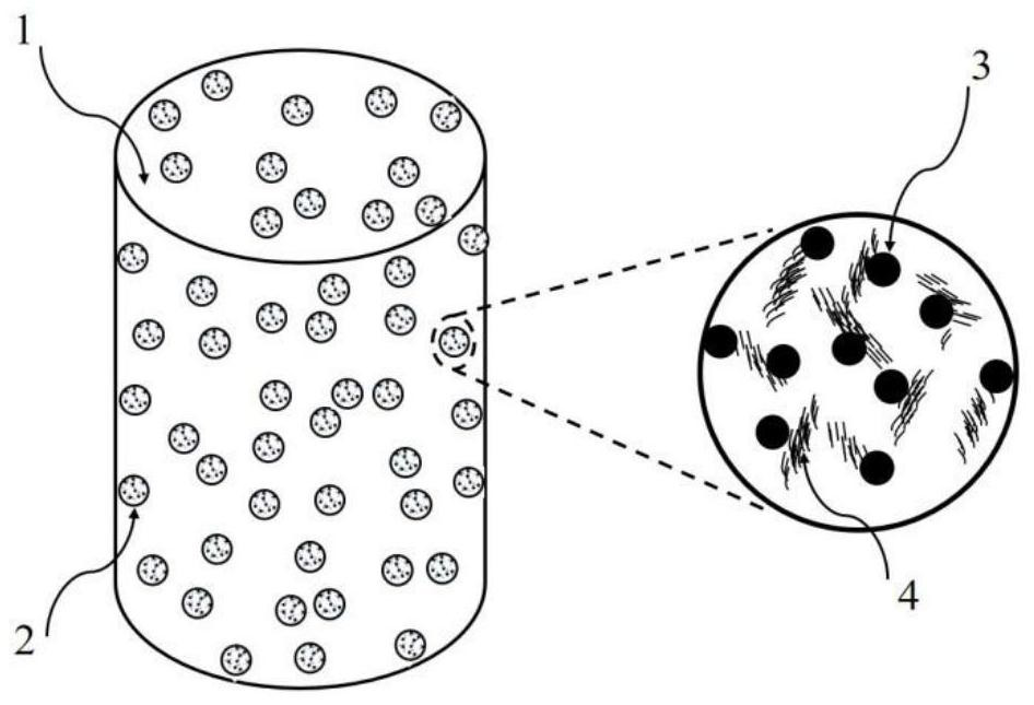 An injection-type magnesium-based carbon nanotube composite microsphere activated calcium phosphate bio-bone adhesive and its preparation method and application