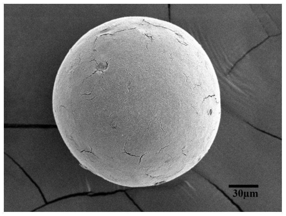 An injection-type magnesium-based carbon nanotube composite microsphere activated calcium phosphate bio-bone adhesive and its preparation method and application