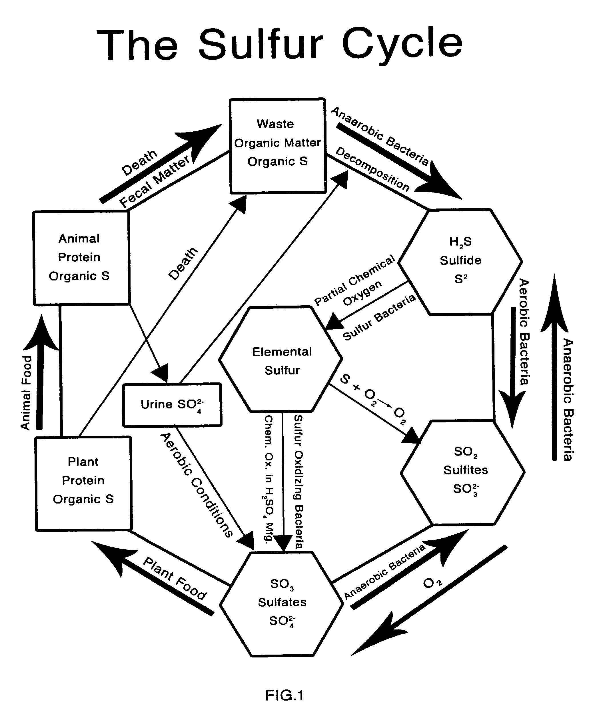 Carbon sequestration method