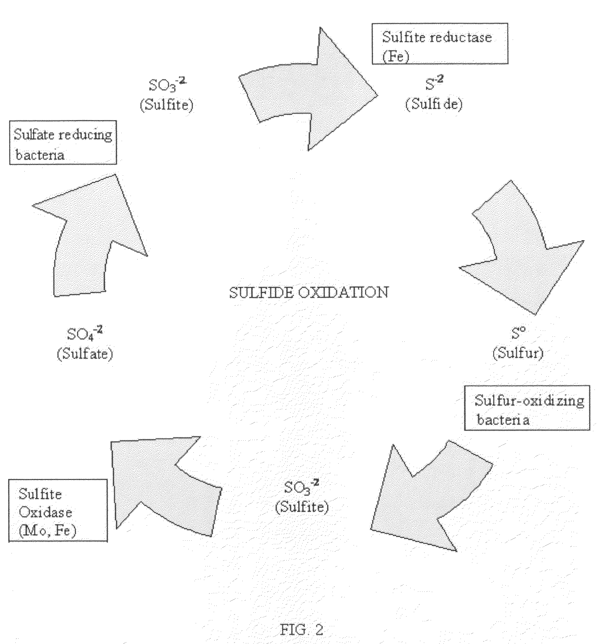 Carbon sequestration method