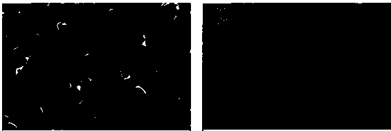 Low density silicone rubber and preparation method thereof