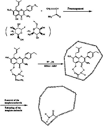 Imprinting material with strong affinity and recognition capability on celery butyl-phthalide and preparation method of imprinting material