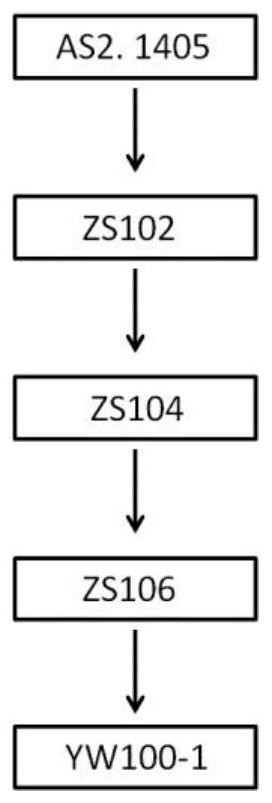 A kind of Yarrowia esterolytica yw100-1 and its application