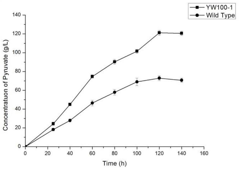 A kind of Yarrowia esterolytica yw100-1 and its application