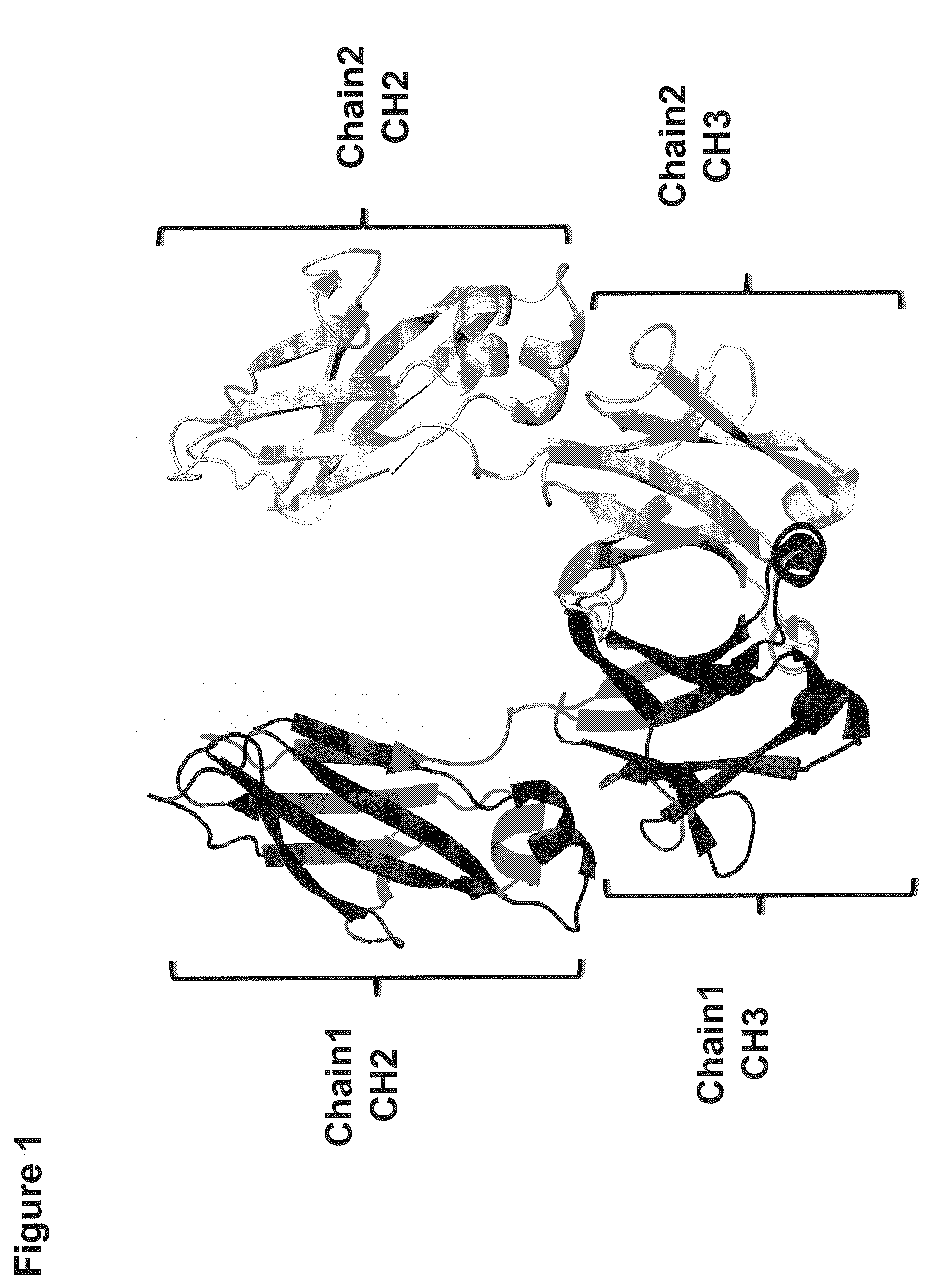 Method for Making Heteromultimeric Molecules