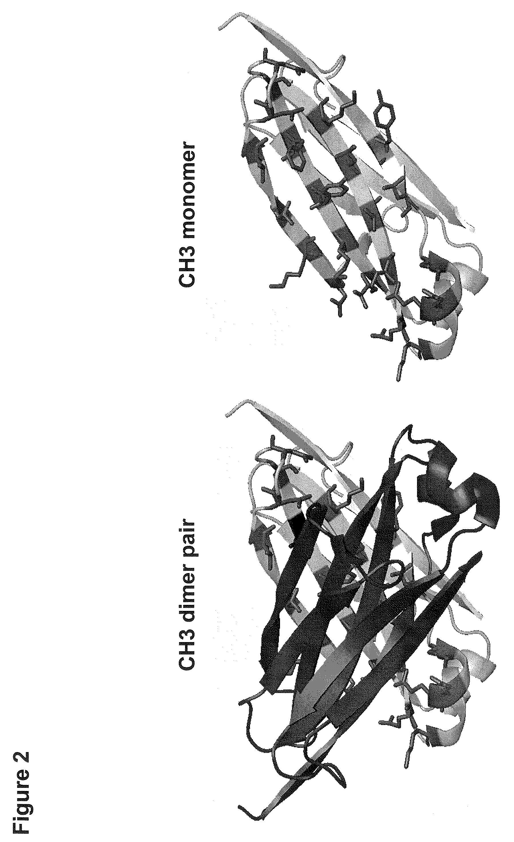 Method for Making Heteromultimeric Molecules