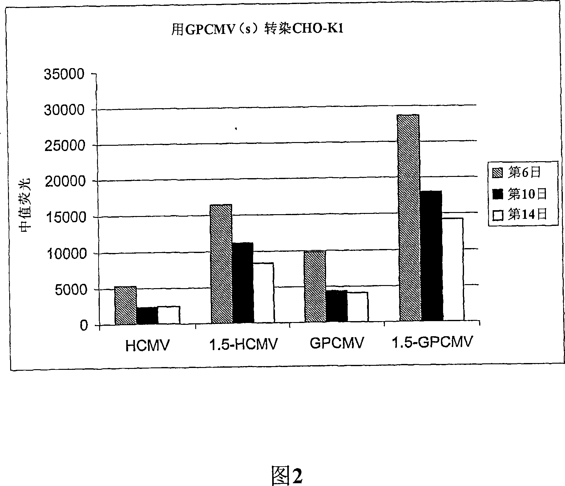 Vectors comprising novel regulatory elements