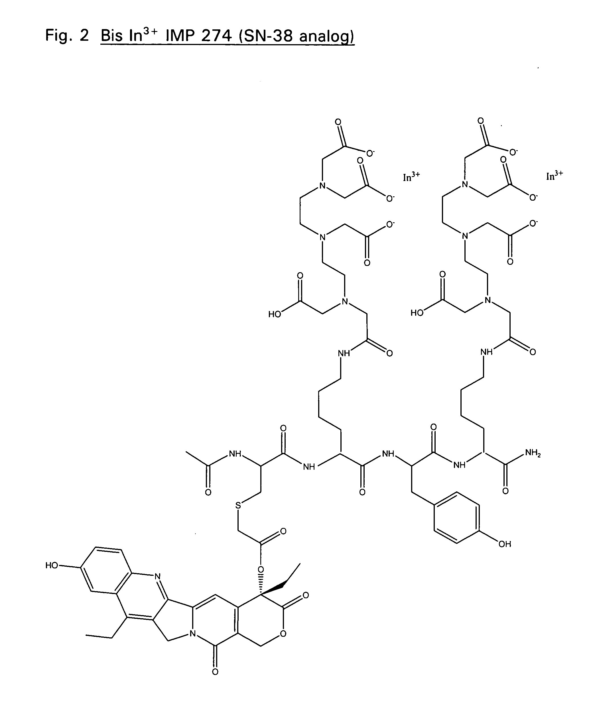 Therapeutic and diagnostic conjugates for use with multispecific antibodies