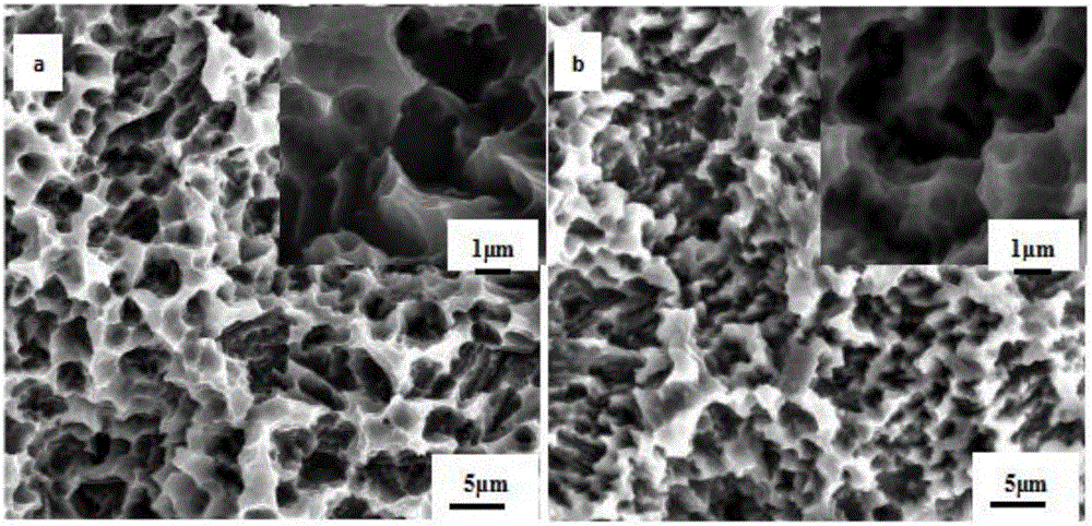 Hydrophilic and antibacterial dental implant system and manufacturing method thereof