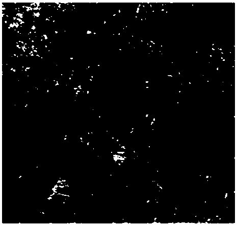 Method, system and device for detecting SAR image based on ROF model semi-implicit denoising