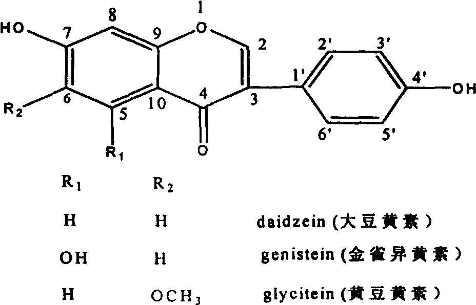 Magnetic nano immobilized enzyme catalysis production method of soya isoflavone