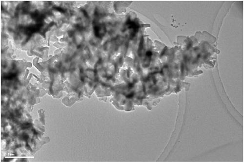 Method of taking wastes as carbon source to prepare carbon doped titanium oxide visible light catalyst