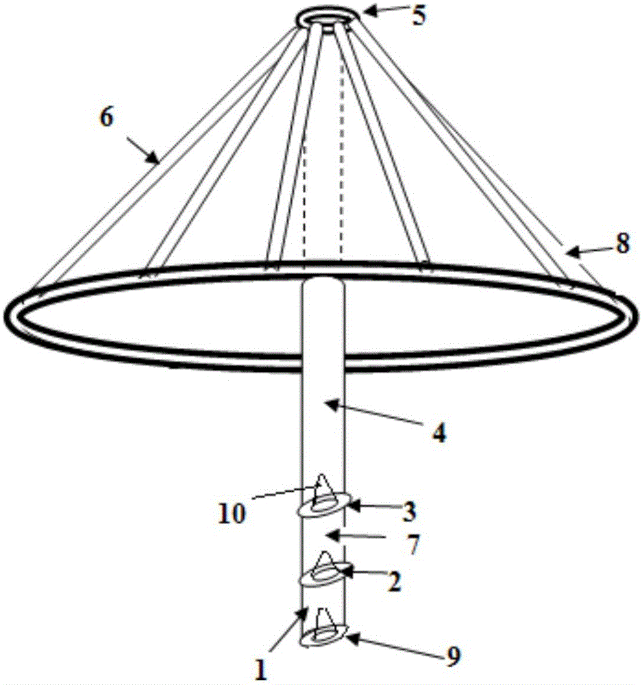 Flexible, foldable, coilable and portable umbrella